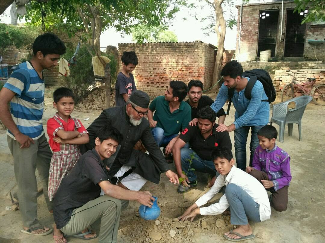 Tree Plantation Drive